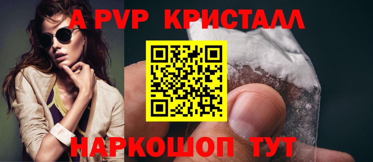 Альфа ПВП СК Гагарин