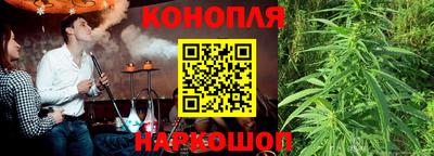 крисы Мариинск