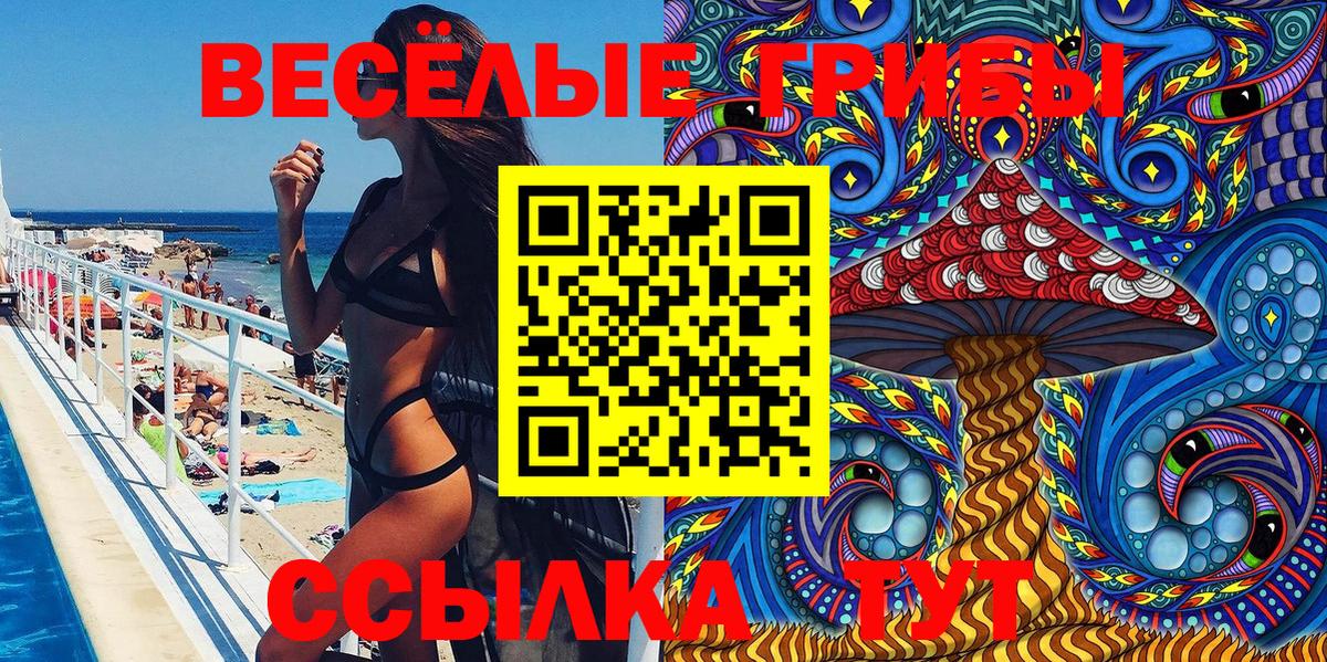Гагарин  Галлюциногенные грибы MAGIC MUSHROOMS  Вход с VPN 